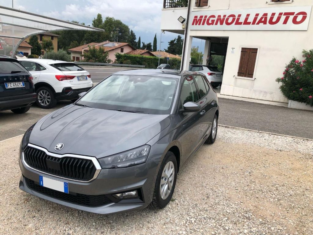 Skoda Fabia  1.0 TSI 115 CV Selection OK NEOPATENTATI
