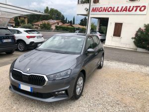 Skoda Fabia  1.0 TSI 115 CV Selection OK NEOPATENTATI