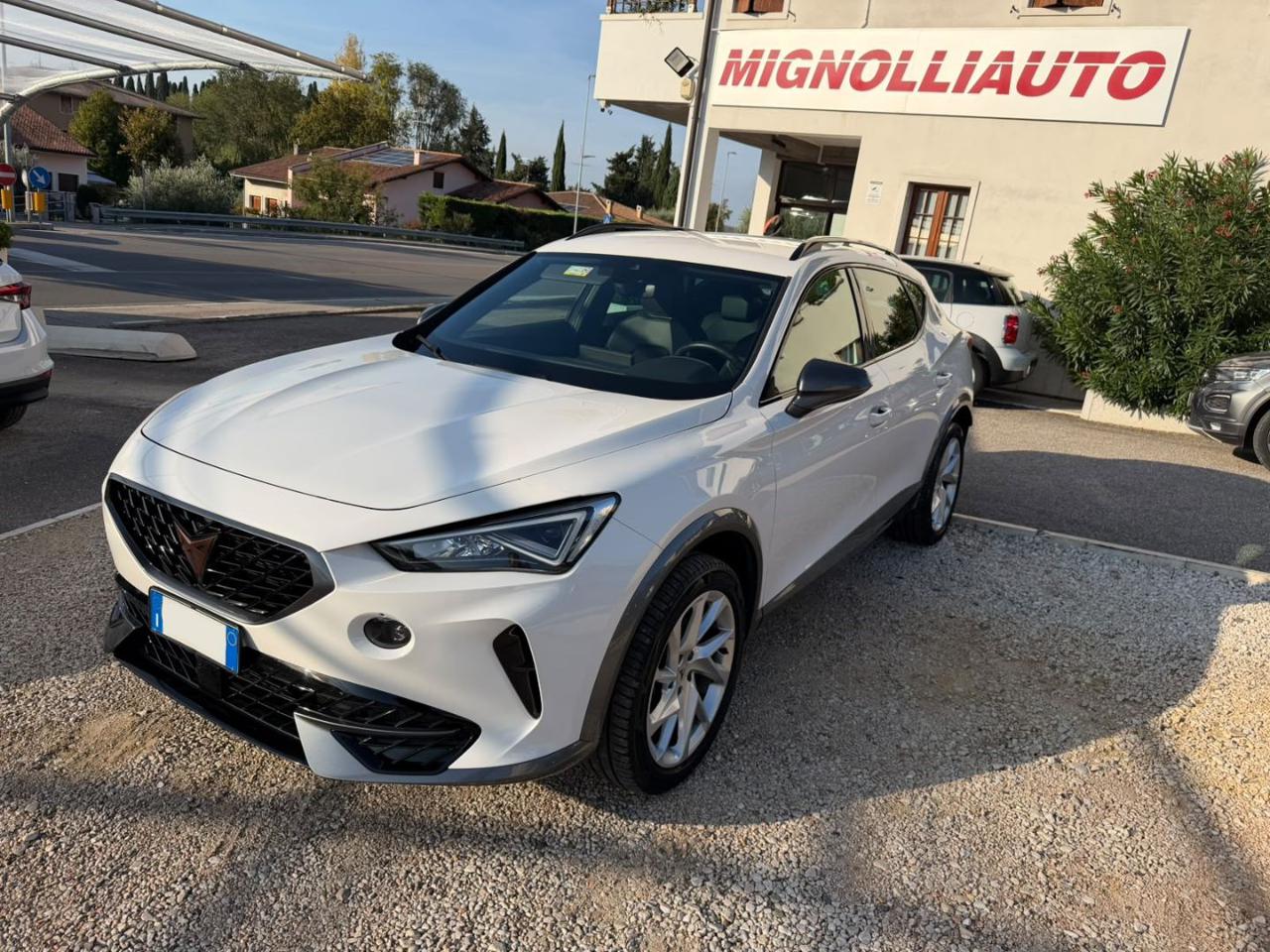 CUPRA Formentor 2.0 TDI 4Drive DSG